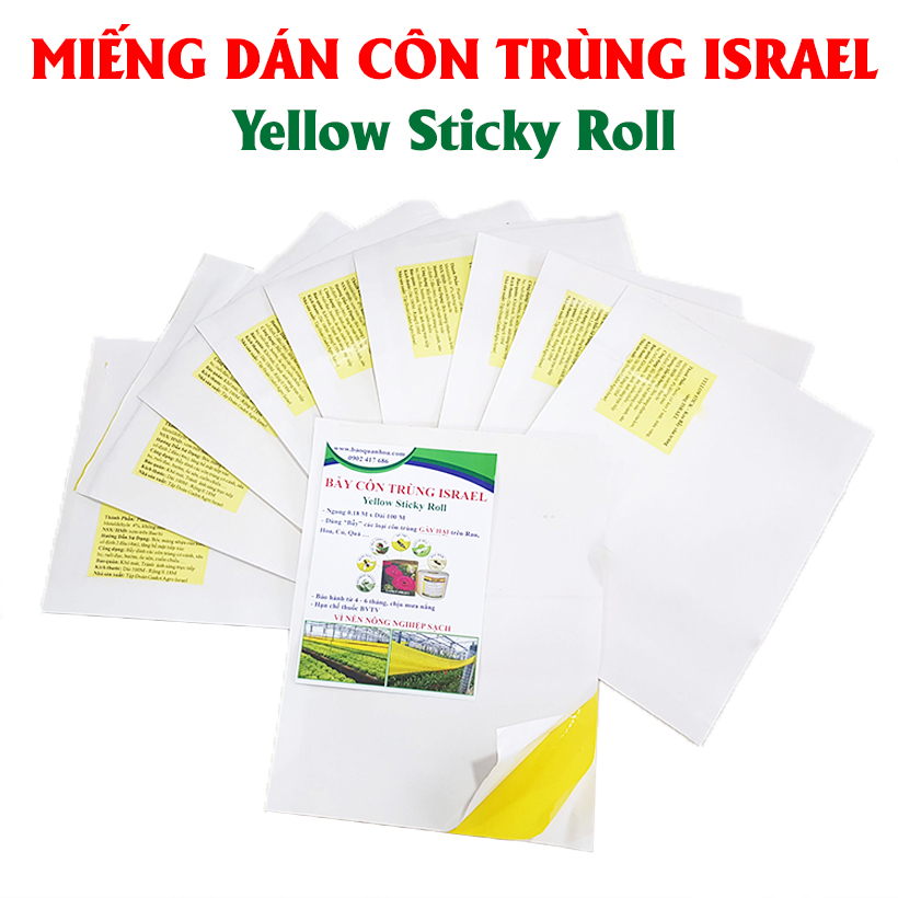 Bẫy Vàng Côn Trùng Nhập Khẩu Israel (25 Miếng) Yellow Sticky Trap dùng bẫy ruồi vàng, Bẫy Ruồi Đục Trái, Bẫy Ruồi Giấm đạt hiệu quả 95%