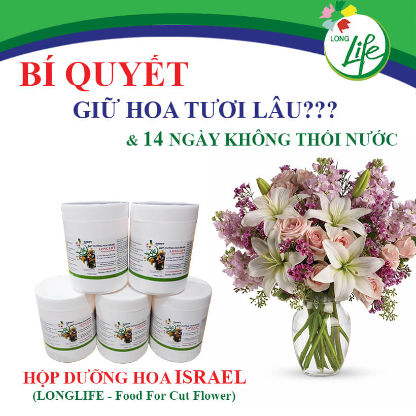 SET 5KG Bột Dưỡng Hoa Israel(giá 290K/1KG) bảo quản hoa lâu tàn tại Shop Hoa và hạn chế thay hoa cắm Lẵng