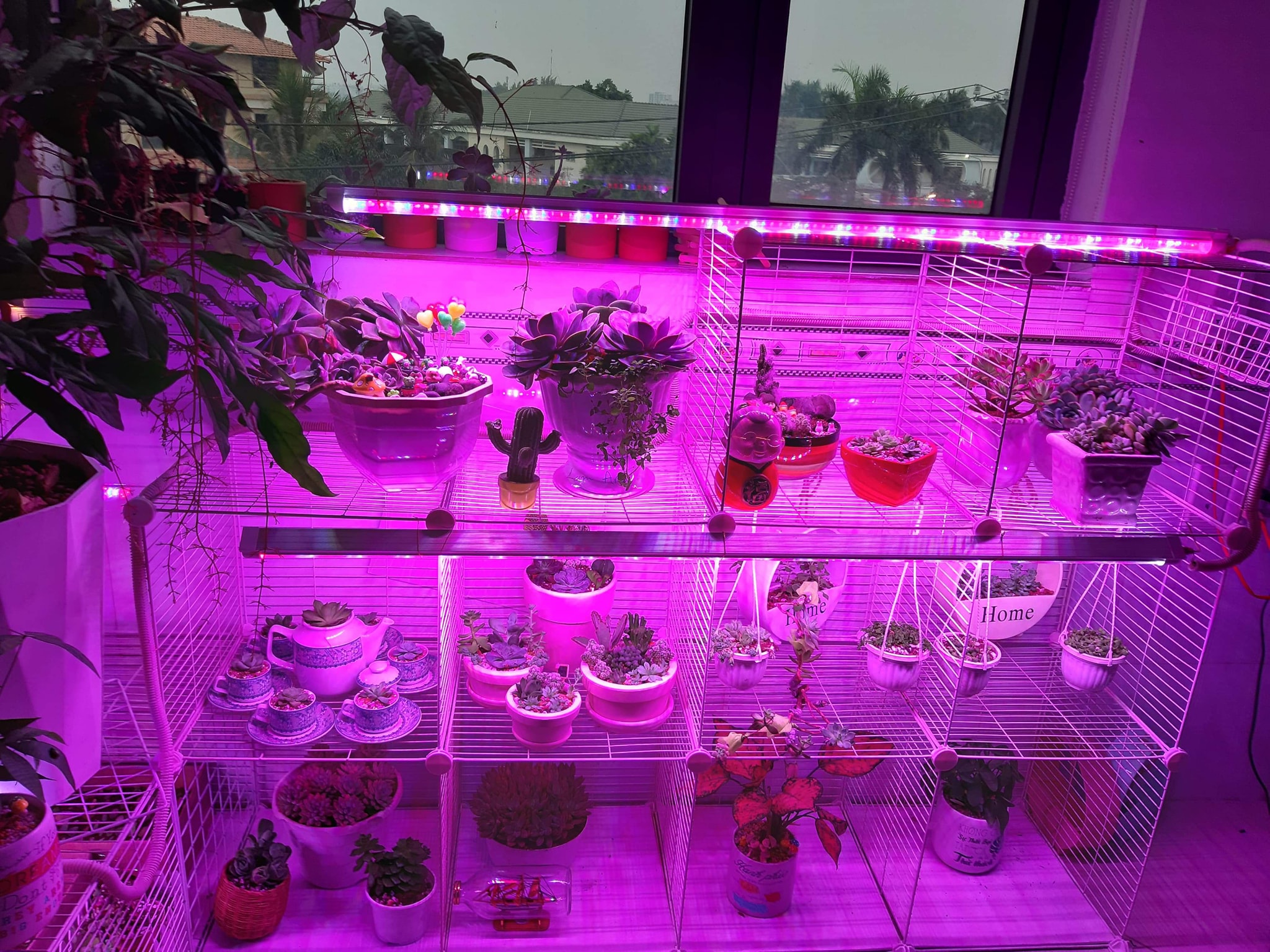 Đèn Trồng Cây trong nhà dạng LED Dài 1.2M Green Smart Light 30W dùng trồng cây trong nhà hay trồng rau sạch trong nhà