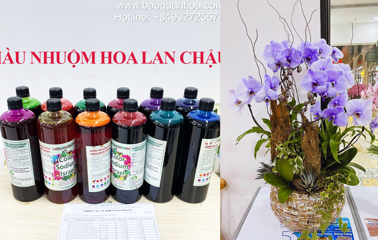 Thuốc Màu Nhuộm Hoa Lan Hồ Điệp Chậu trồng tại Việt Nam (1L màu đặc biệt cho cây trồng chậu)