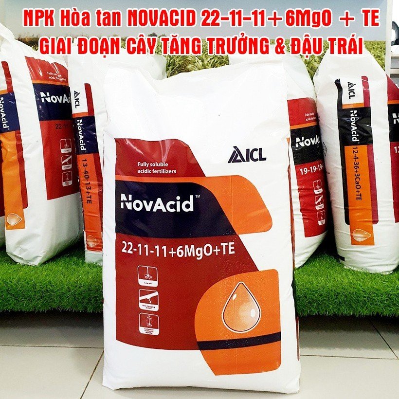 Phân bón Israel (Bao 25kg Sỉ) Novacid 22-11-11+6MgO+TE cho hệ thống tưới nhỏ giọt bón gốc và phun lá giúp nuôi trái