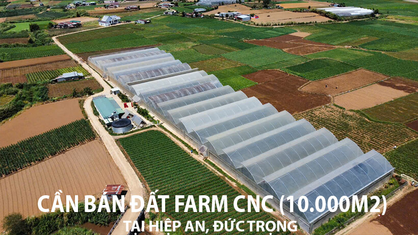 CẦN BÁN FARM NÔNG NGHIỆP CÔNG NGHỆ CAO (1 HECTA) TẠI HIỆP AN, ĐỨC TRỌNG
