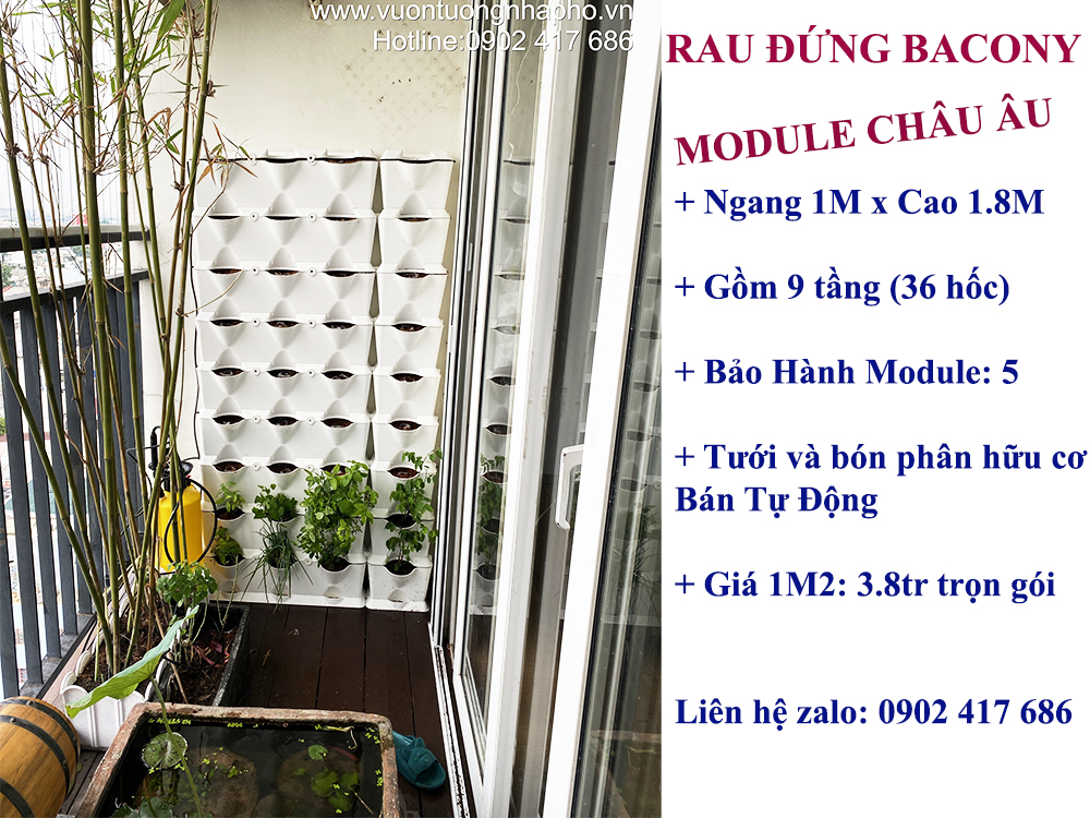 Rau Đứng Ban Công (Thi công trọn gói) chậu Module Châu Âu