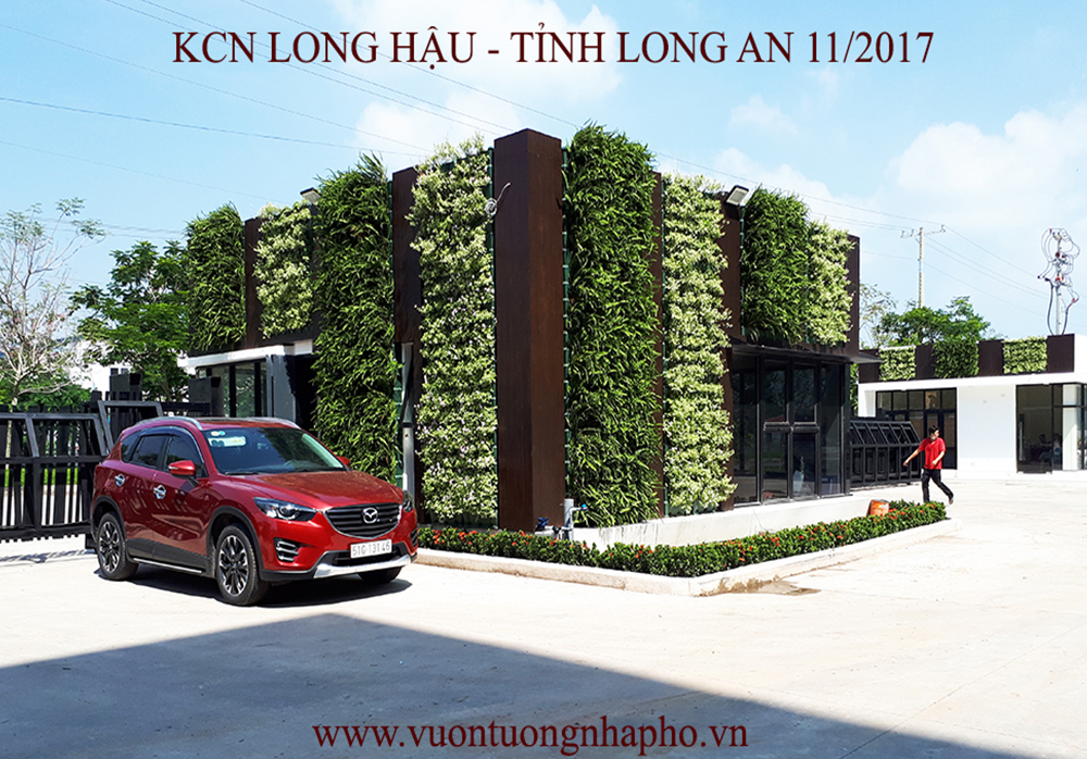 Thi Công Tường Xanh Ngoài Trời Nhà Máy KCX Long An bằng Hệ Khung Châu Module Bồ Đào Nha 2017