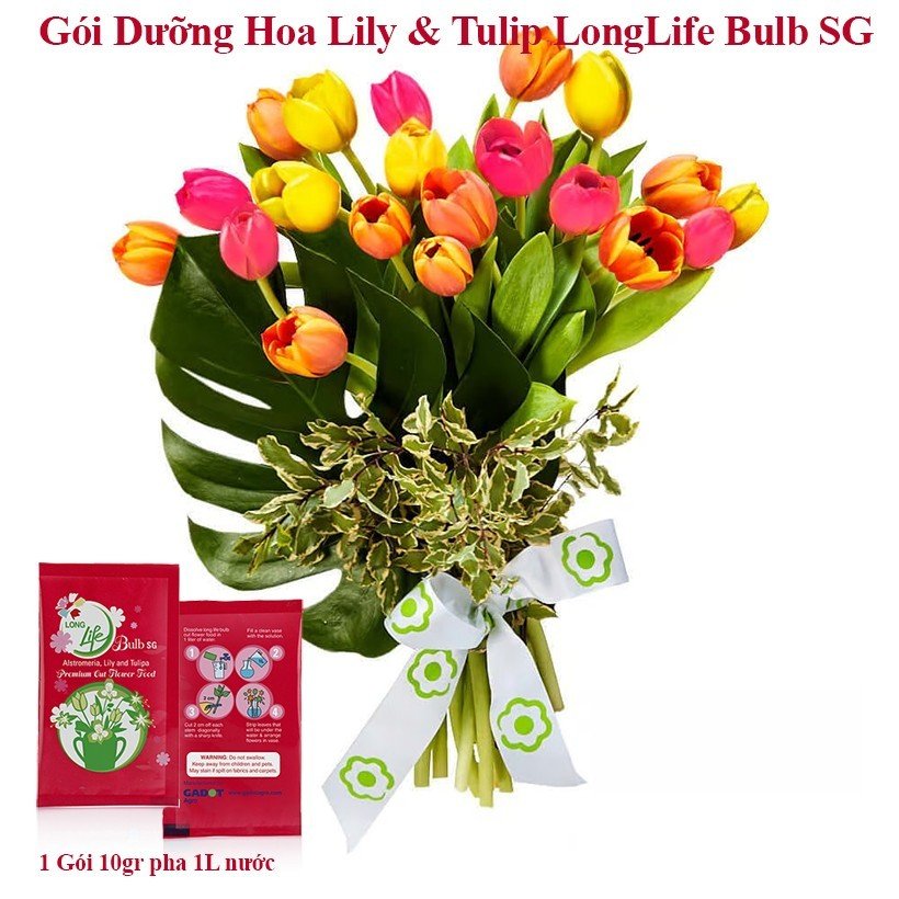 Thuốc Cắm Hoa Tulip lâu tàn nhập khẩu Israel Hiệu Longlife Bulbs (1 gói 10gr Màu đỏ Thế Hệ 2024) đặc biệt bảo quản hoa Tulip, Lily và Thủy Tiên tại nhà