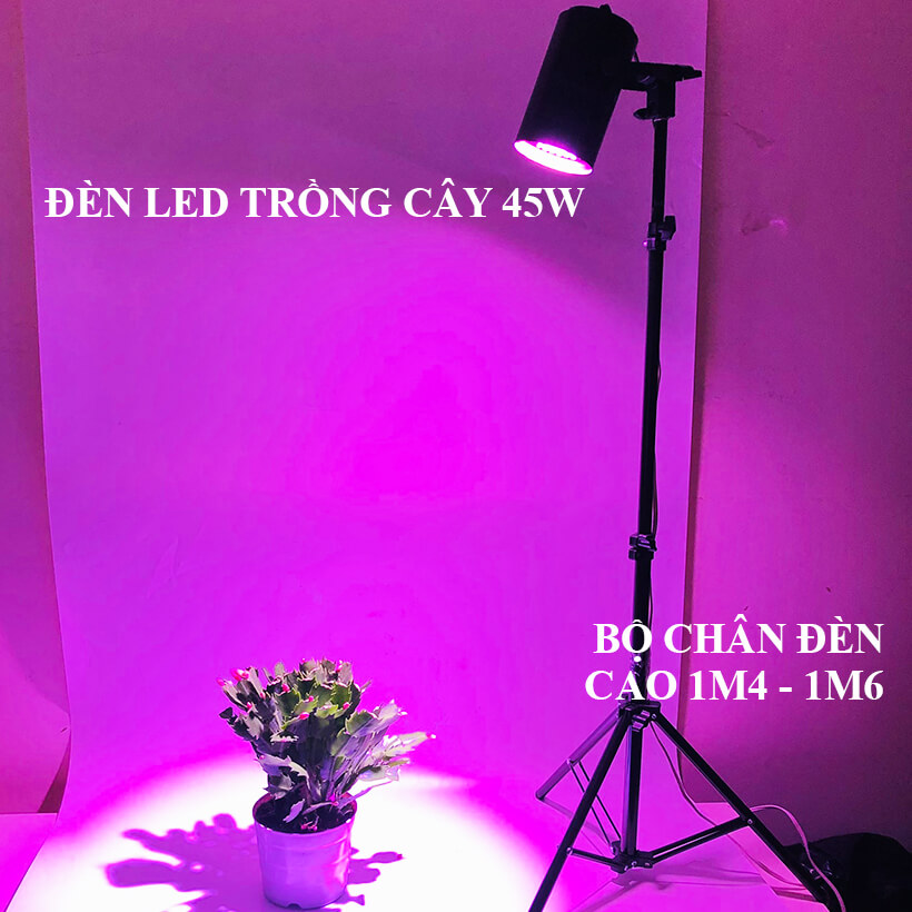 Đèn LED cây trong nhà là đèn Nông Nghiệp Công Nghệ Cao Led Growlight 45w