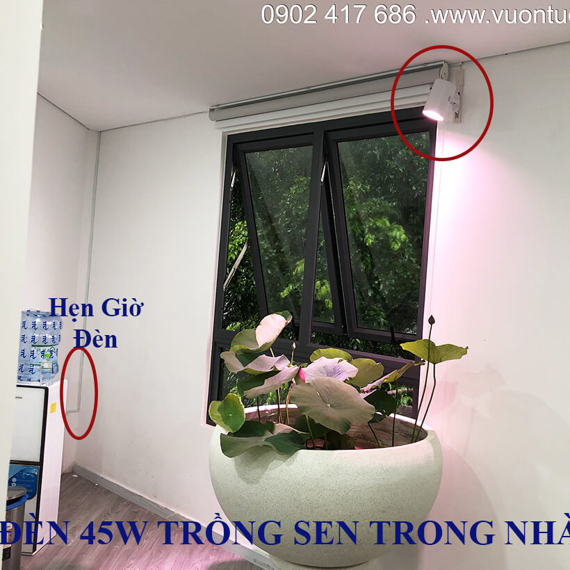 ĐÈN LED TRỒNG SEN ĐÁ TRONG NHÀ GROWLIGHT 45W (Trọn bộ) giúp cung cấp ánh sáng “giả lập mặt trời” để cây phát triển