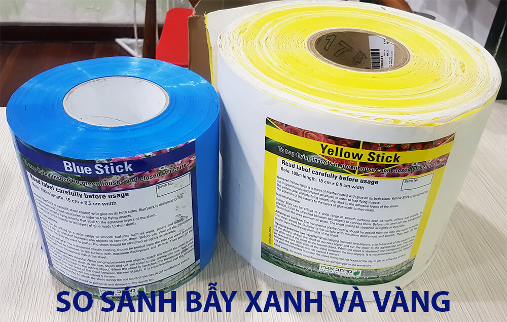 Cuộn 100m Keo Dính Màu Xanh Blue Trap và So Sánh Bẫy Xanh Bọ Trĩ và Bẫy Vàng Yellow Sticky khác nhau thế nào?