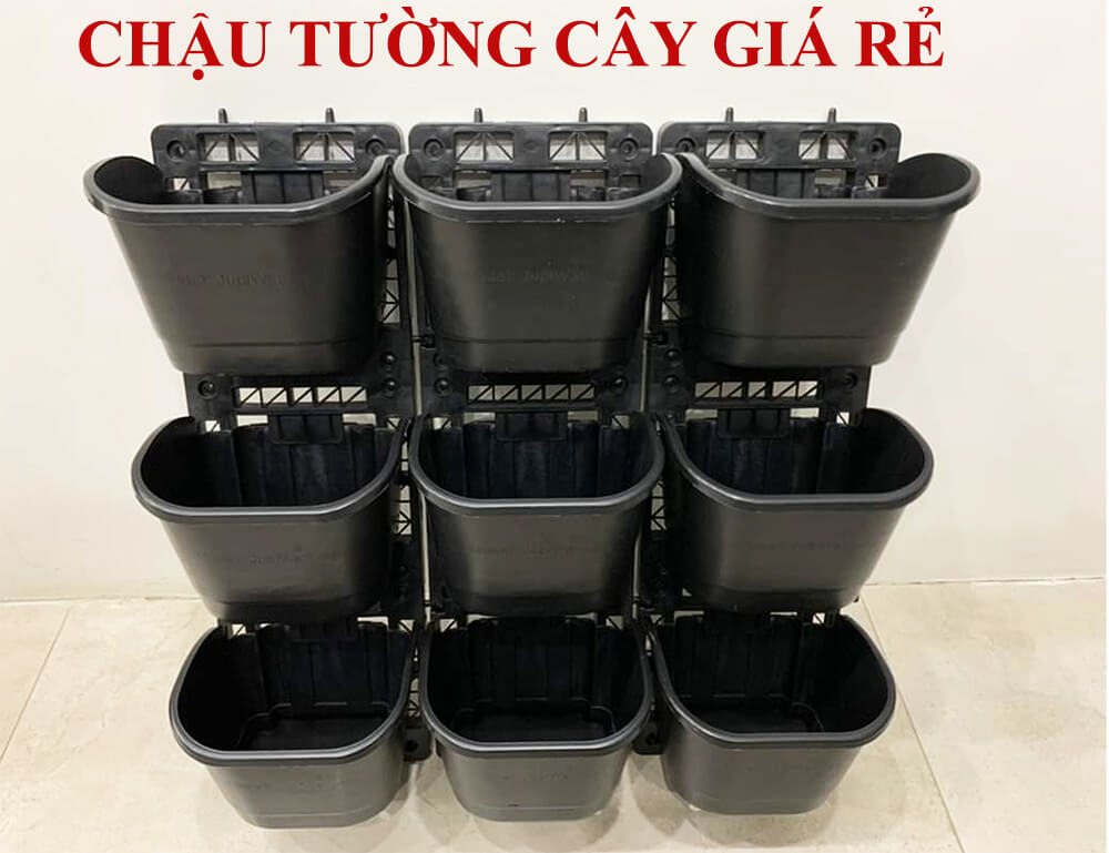 Chậu Cây Treo Tường giá rẻ sản xuất Việt Nam (1m2) gồm 12 khung và 36 chậu nhỏ với chất lượng vừa đủ