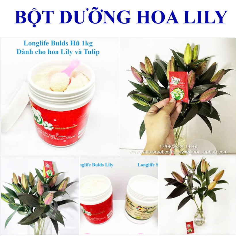 Thuốc Nước cắm hoa Lily và hoa Tulip Nhập Khẩu Hiệu Longlife Bulbs 2024 của Gadot Israel (1KG Pha 100L nước) tại Shop cắm Xốp hoa