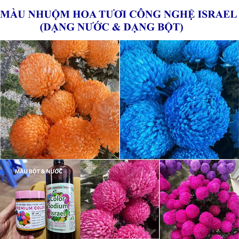 HƯỚNG DẪN NHUỘM HOA TƯƠI ĐỔI MÀU ĐẬM HƠN KHI TRỜI LẠNH, ĐỘ ẨM CAO