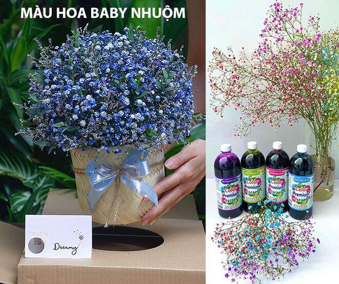 Imported Baby’s flower Dye from Israel – Safe, Long-Lasting, Naturally Beautiful Colors