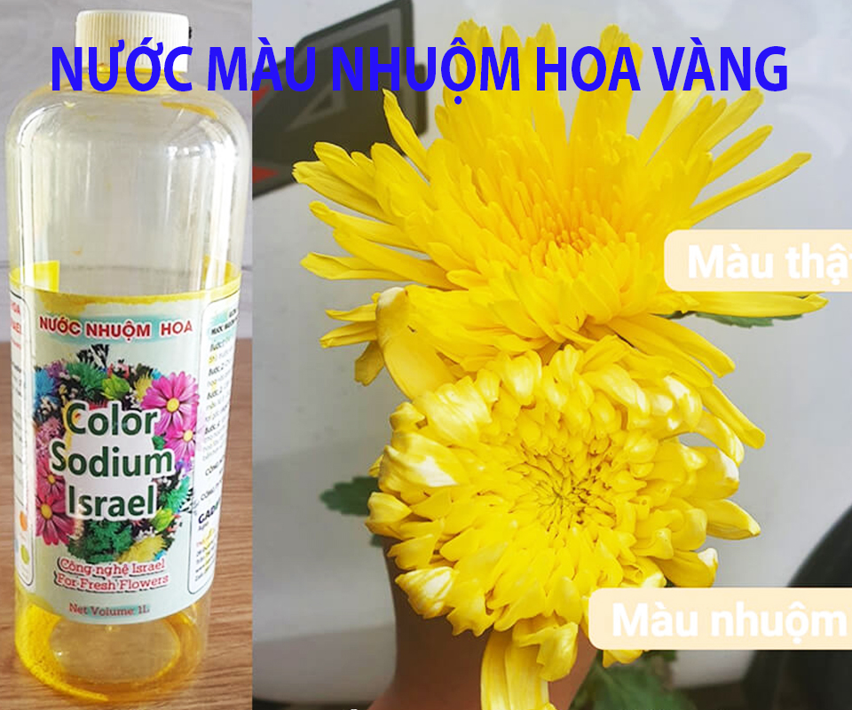 Thuốc Nhuộm Hoa Màu Vàng Chanh khác Màu Nhuộm Hoa Vàng Đồng (1L màu nhuộm hoa nhập khẩu)?