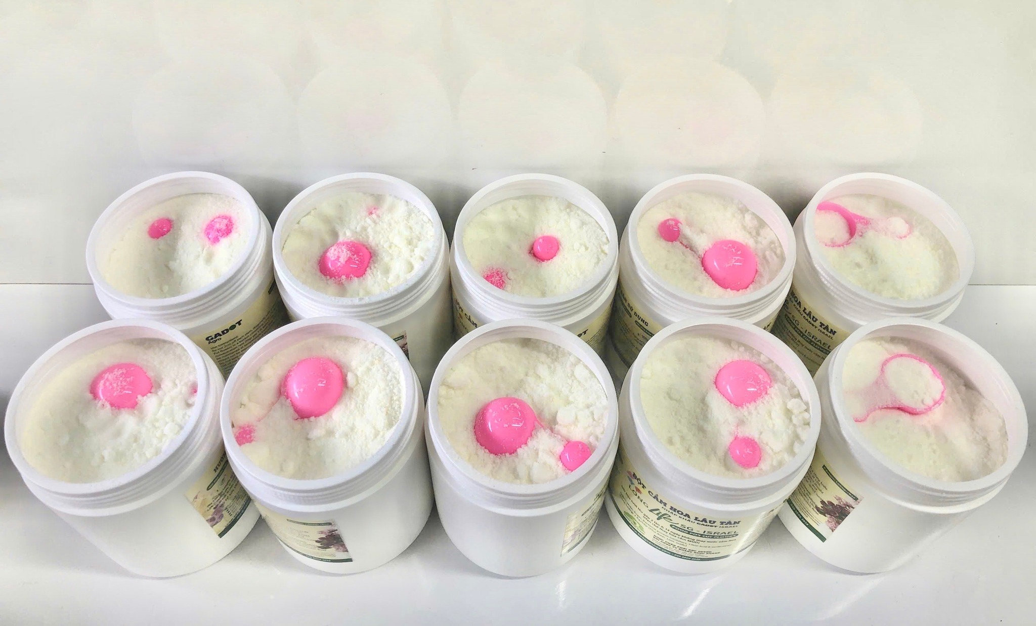 BÍ QUYẾT SHOP HOA CHĂM SÓC HOA CẮM MUD TƯƠI LÂU VÀ HẠN CHẾ THAY HOA ĐỊNH KỲ THEO CÔNG NGHỆ ISRAEL