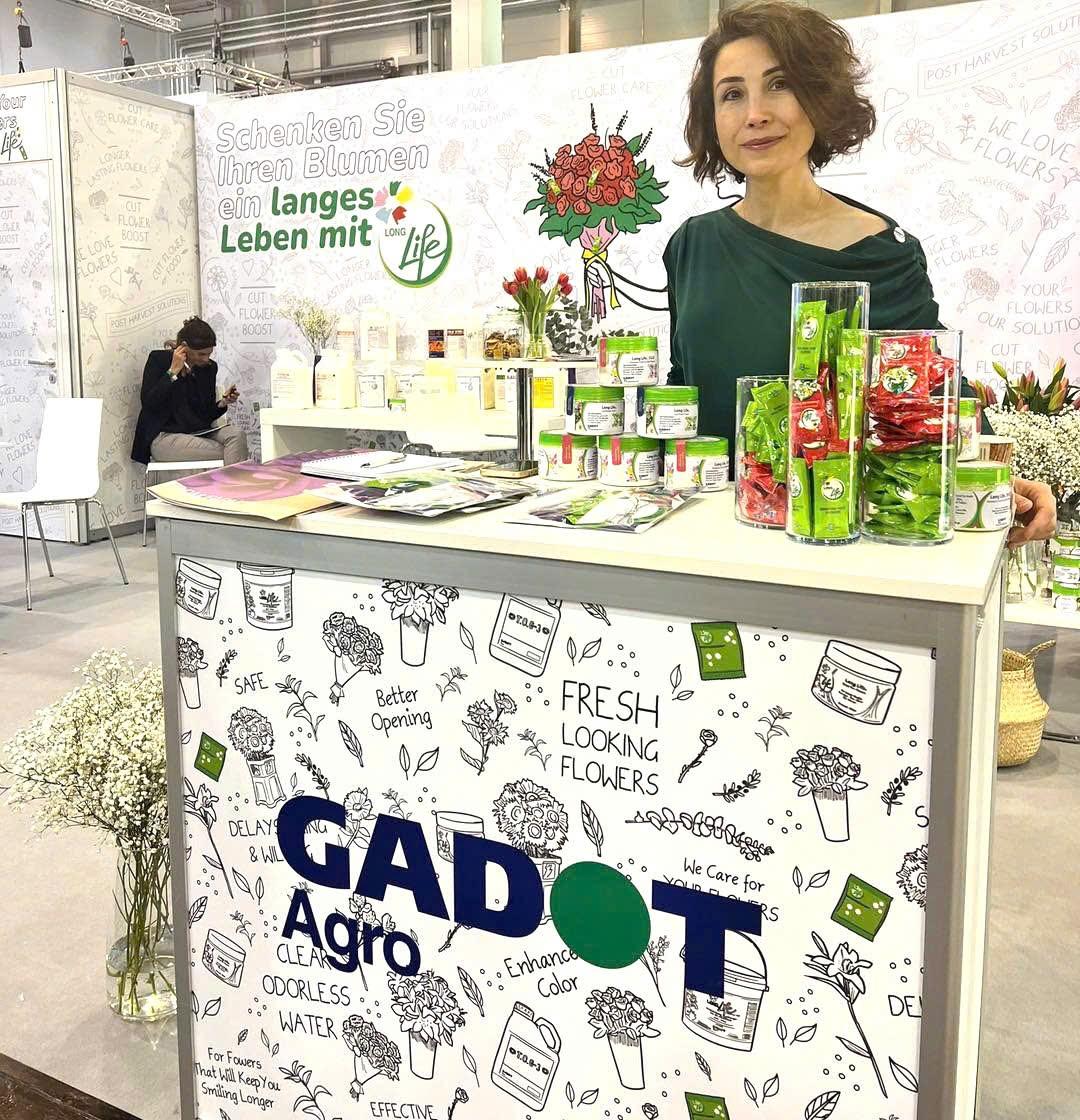 THUỐC BỘT CẮM HOA TƯƠI LONGLIFE NHẬP KHẨU ISRAEL LÀ GÌ? Combo 100 gói