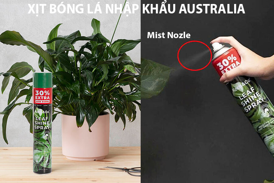 Xịt Bóng Lá Hoa Lan và Lá Kiểng Leafshine nhập khẩu Úc (Chai Lớn 840ml) Hiệu Kock & Co lần đầu tại VN
