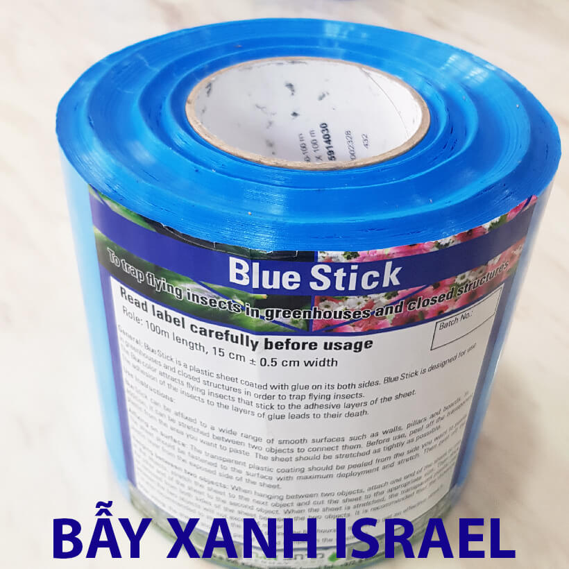 Bẫy Bọ Trĩ Bằng Keo Dính Xanh Nhập Khẩu Israel