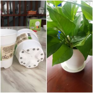 Chậu trồng cây tự tưới để bàn Pot S Self-watering Plant Pot S imported from EU