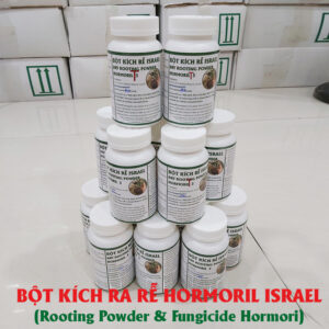 Bột Siêu Kích Rễ Cây Thân Mềm loại tót có trị nấm Nhập khẩu Israel (Hủ 100gr)