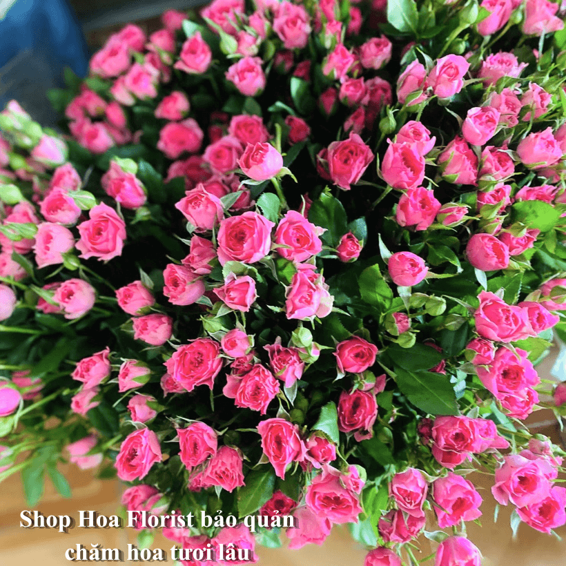 Bí Quyết Giữ Hoa Tươi Lâu cho Shop Hoa