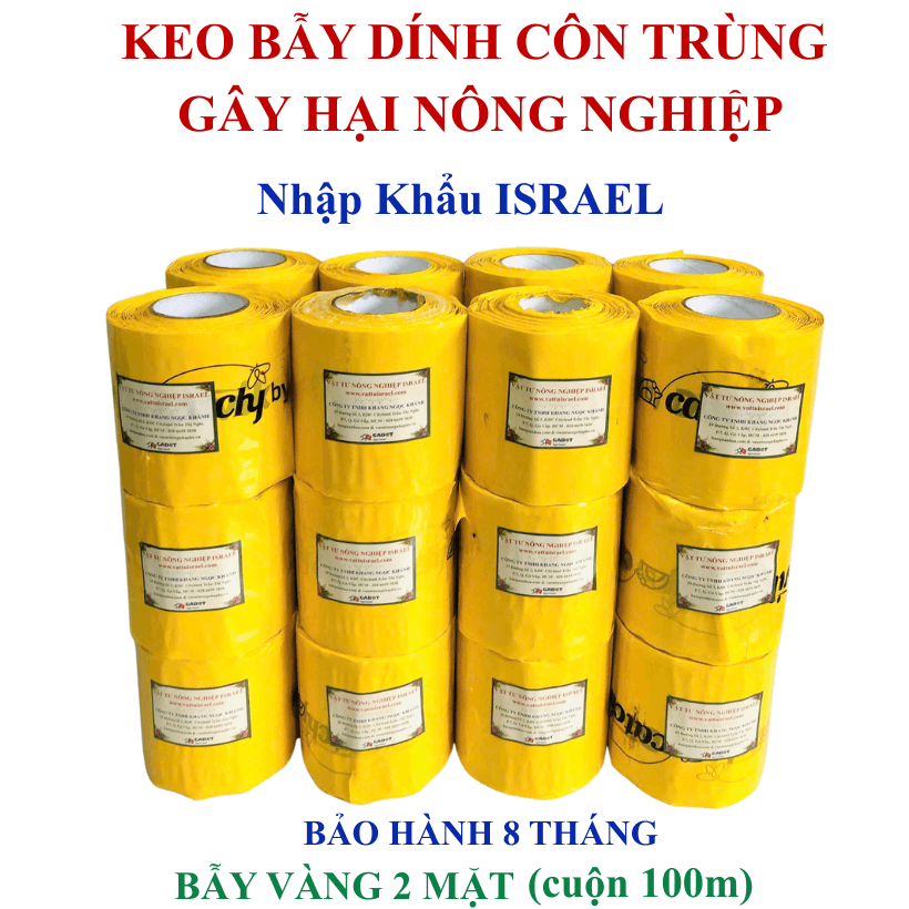 Bẫy Dính Vàng Rau Thủy Canh Nhập Khẩu Israel – Diệt Côn Trùng