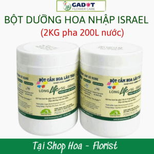 Combo 2KG Bột Dưỡng Hoa Tươi Lâu Không Bị Thối Nước Hiệu Long Life SG Israel Cho Shop Hoa