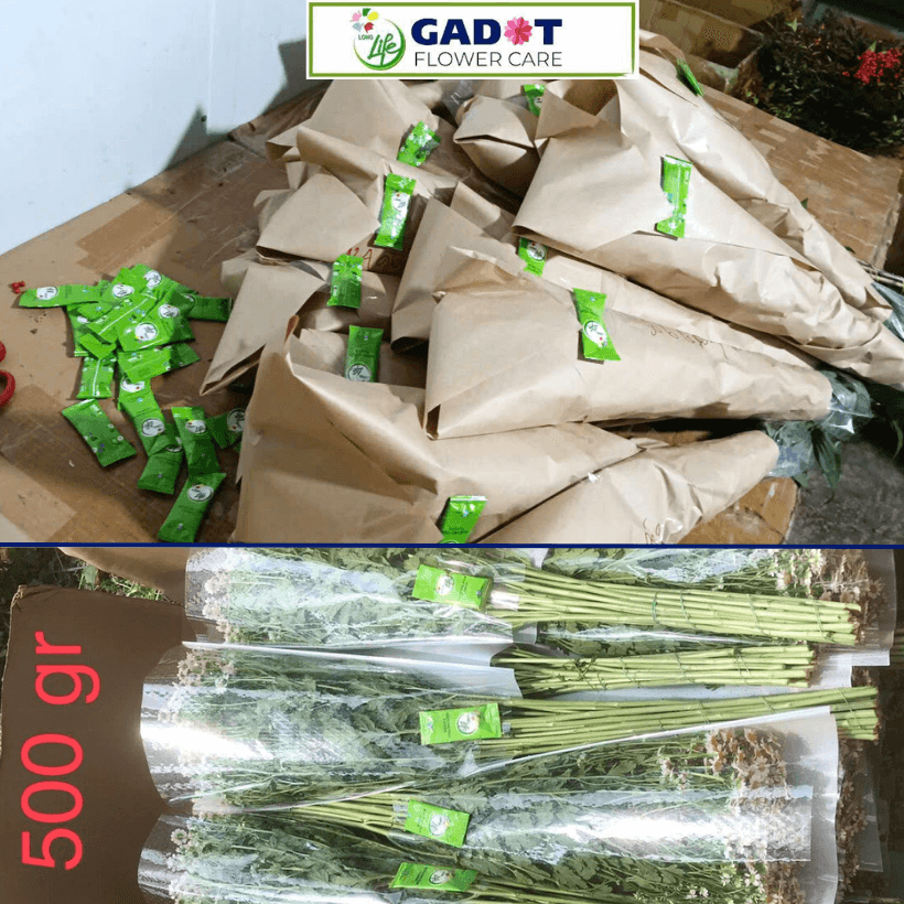 Bột Dưỡng Hoa Tươi Lâu Isarel hiệu Longlife 