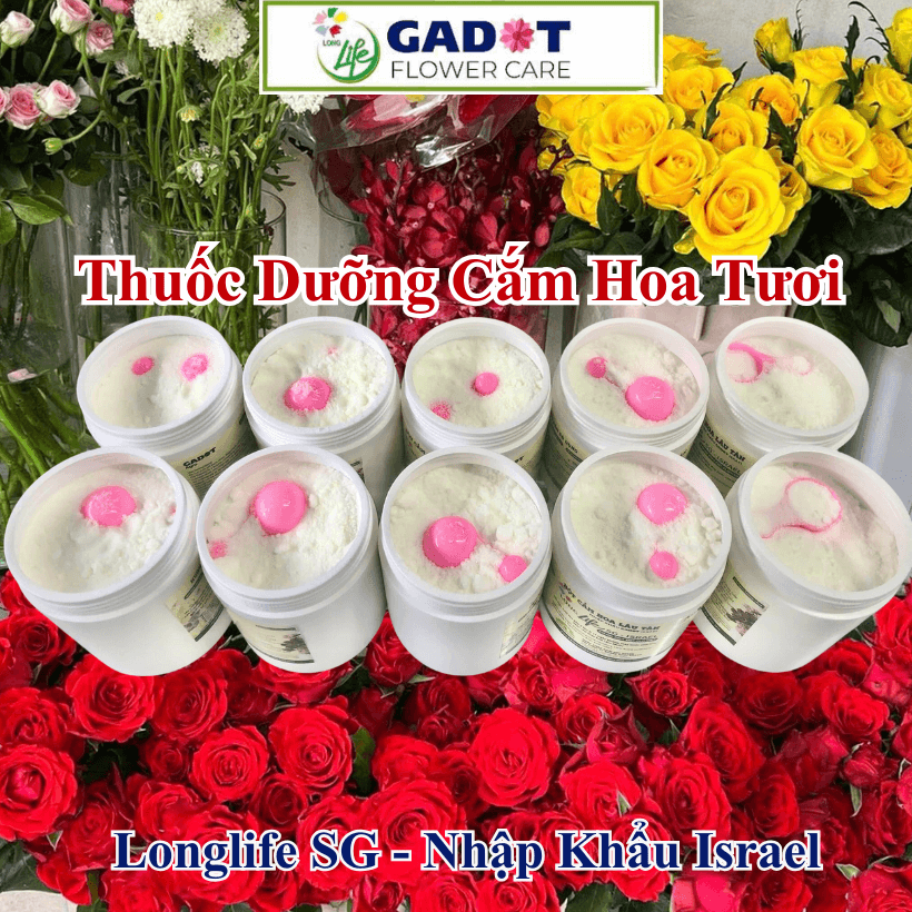 Bột Dưỡng Hoa Tươi Lâu Không Bị Thối Nước