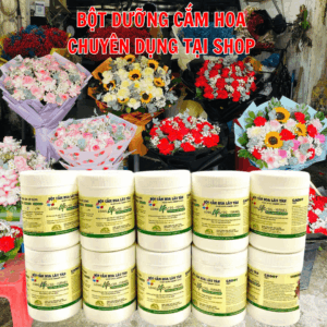 Bột cắm hoa cắt cành Longlife SG (1 thùng 10KG giá sỉ) xử lý hoa tại Vựa Hoa giúp shop hoa bảo quản hoa tươi lâu và không thay nước, cắt tỉa gốc hay hạn chế thay hoa