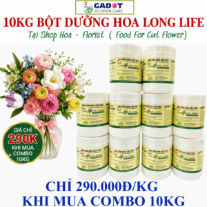 Combo Sỉ 10 Hộp Bột Dưỡng Hoa LongLife SG 10KG – Giữ Hoa Cắt Cành Tươi Lâu Cho Shop Hoa