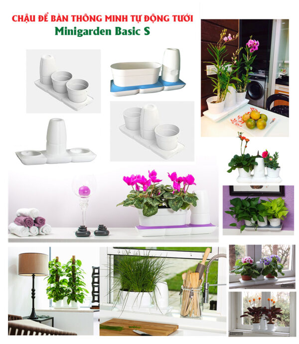 Chậu Trồng Cây Tự Dưỡng Thông Minh nhập khẩu Châu Âu Minigarden