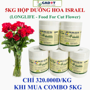 5KG Bột Cắm Hoa Tươi Lâu Longlife SG dành cho Shop Hoa