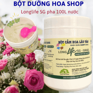 Thuốc Bột Dưỡng Hoa Cắm Bình Tươi Lâu (Hộp 1KG) LongLife SG tại Shop Florist