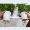 Chậu Trồng Cây Tự Dưỡng Thông Minh nhập khẩu Châu Âu Minigarden