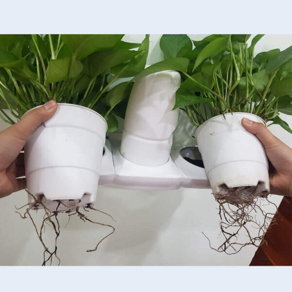 Chậu Trồng Cây Tự Dưỡng Thông Minh nhập khẩu Châu Âu Minigarden