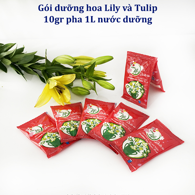 Nước Dưỡng Hoa Ly Tươi Lâu Long Life Bulb