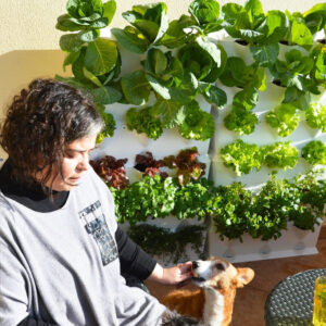 Trồng Rau tại Nhà Chậu module nhập khẩu Bồ Đào Nha Minigarden (1m2 xếp ngang 1m3m x cao 1m x 24 hốc rau) KHÔNG KÈM TƯỚI NHỎ GIỌT