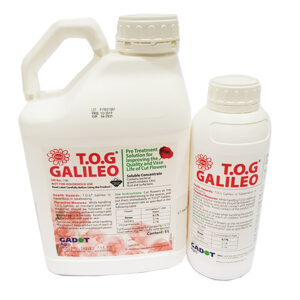 Dung Dịch Xử Lý Hoa Hồng tươi lâu tại Nhà Vườn bằng Chế Phẩm TOG Galileo (1L pha 1.000L dung dịch tiết kiệm)