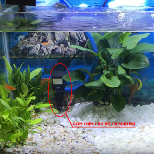 Bơm Chìm Hồ Cá giá 817k/bộ (Bơm + AC) bảo hành 12 tháng. Lực đẩy cao 5M