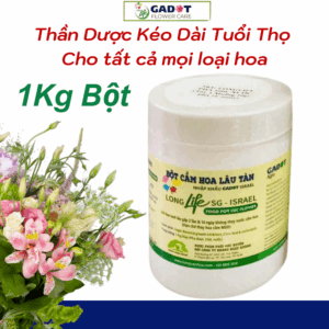Thuốc Bột Cắm Hoa Tươi Nhập Khẩu Longlife SG tại Shop Florist