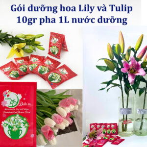 Thuốc Dưỡng hoa LY KÉP tươi lâu nhập khẩu Israel giữ hoa tươi và 14 ngày không cần thay nước, không cắt tỉa lại gốc hoa