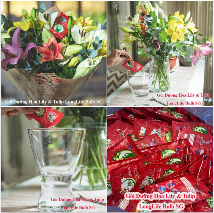 Nước Dưỡng Hoa Ly Kép Tươi Lâu Long Life Bulb