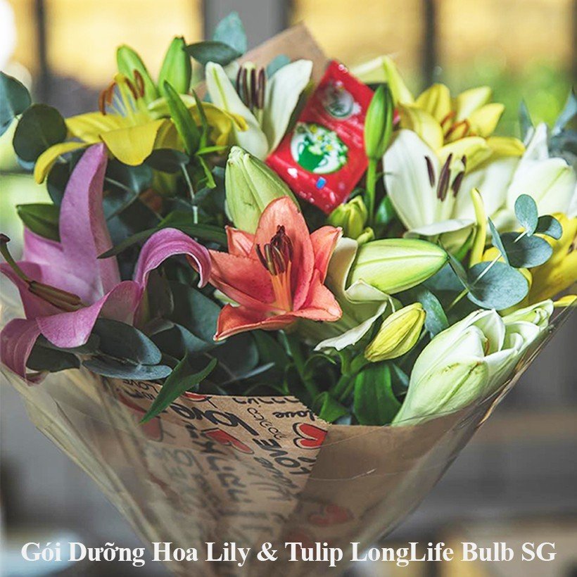 Nước Dưỡng Hoa Ly Kép Tươi Lâu Long Life Bulb