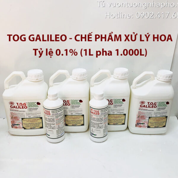 Nước Dưỡng Hoa Tươi tại Chợ Sỉ Hoa TOG Galileo