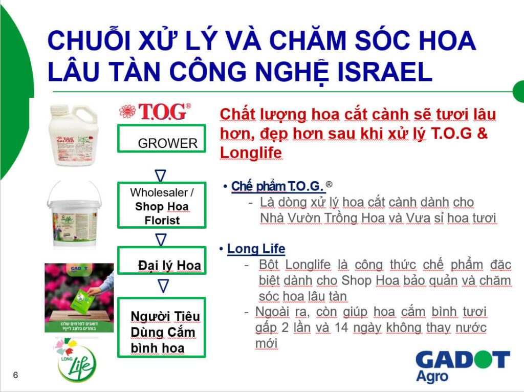 Thuốc Ngâm Hoa Dưỡng Hoa TOG Galileo