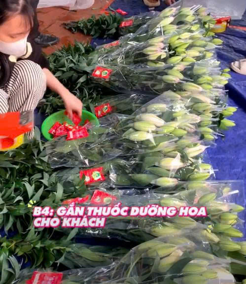 Nước Dưỡng Hoa Ly Kép Tươi Lâu Long Life Bulb