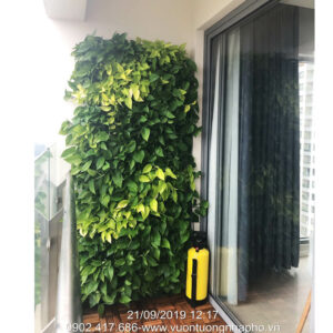 Thi Công Cây Ban Công Đứng Vertical Thiết kế Ngang