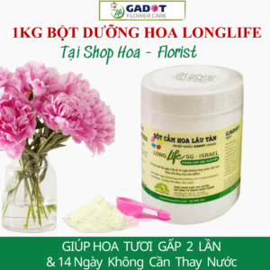 Hủ 1KG Bột Cắm Hoa Tươi Lâu Longlife SG dành cho Shop Hoa