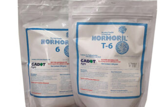 BỘT KÍCH RA RỄ ISRAEL ROOTING POWDER HORMORIL CÂY THÂN MỀM VÀ CÂY THÂN GỖ