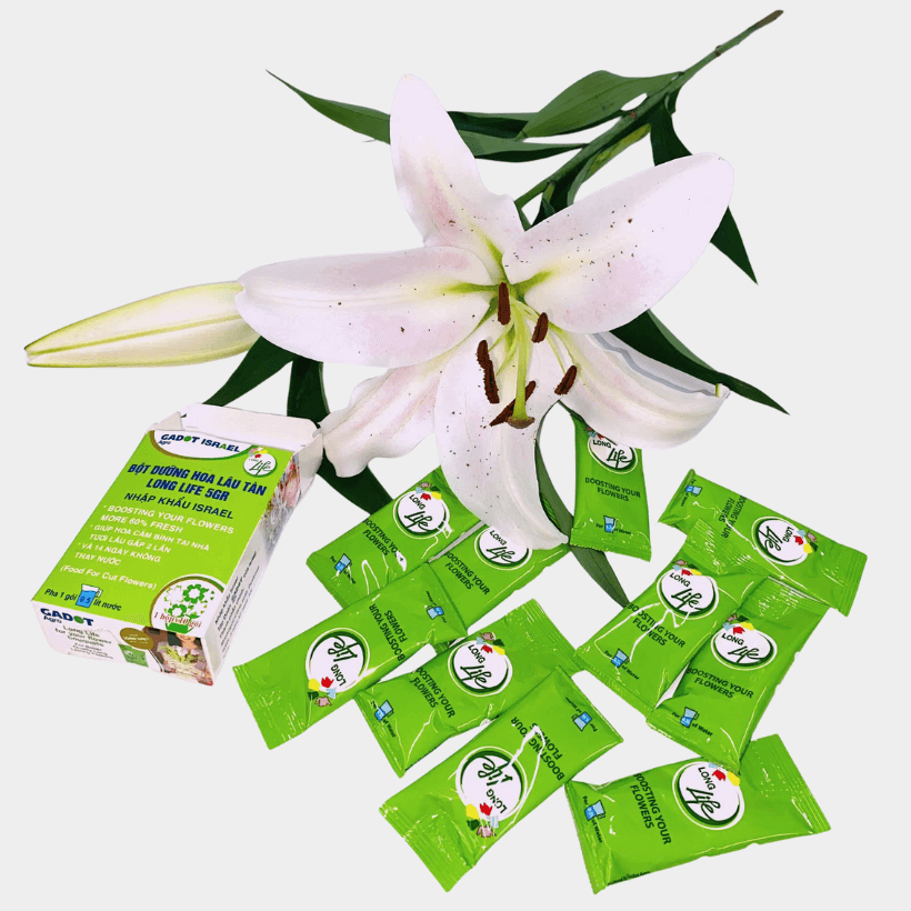 Bột Dưỡng Hoa Tươi Lâu Long Life